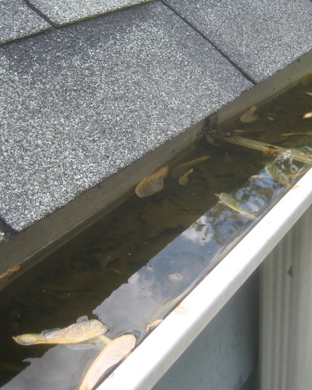 Box Gutter Repair